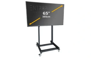 65" 165cm Smart TV (Ayarlanabilir Stantlı) 2 65" 165cm Smart TV (Ayarlanabilir Stantlı) (Kiralık Ürün)